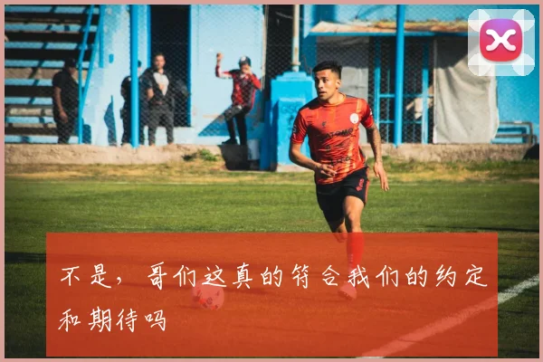 不是，哥们这真的符合我们的约定和期待吗