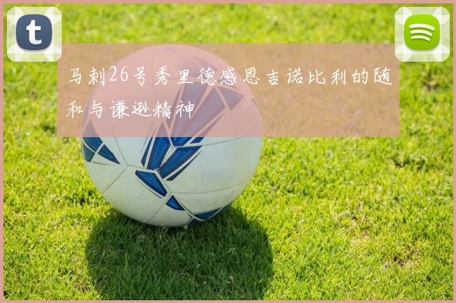 马刺26号秀里德感恩吉诺比利的随和与谦逊精神